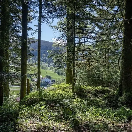 Cosy & Paisible En Pleine Nature - Refuge Idyllique Pour 5p Gerardmer