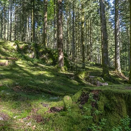 Cosy & Paisible En Pleine Nature - Refuge Idyllique Pour 5p