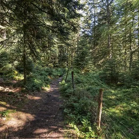 Chalet Cosy&paisible En Pleine Nature - Refuge Idyllique Pour 5p Gérardmer